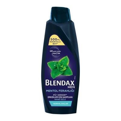 Blendax Nane Özlü Erkek Şampuanı 500 Ml