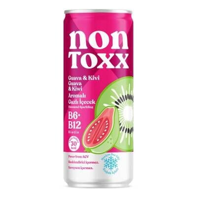 Nontoxx Guava & Kivi Aromalı Sirkeli İçecek 250 Ml