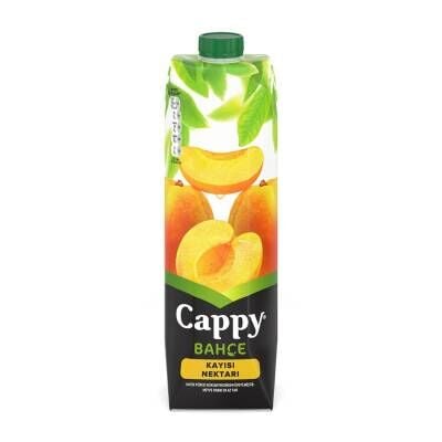 Cappy Kayısı Nektarı Karton Kutu 1 L