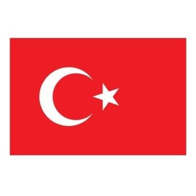 Bayrakçı Türk Bayrağı 50X75 Cm