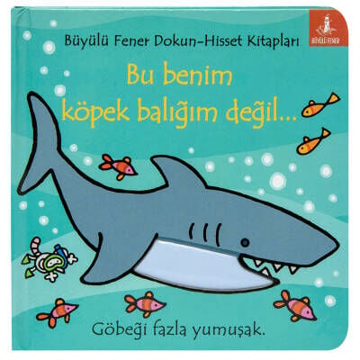Büyülü Fener Dokun Hisset Kitapları